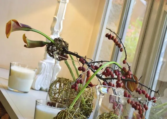 Отель La Bougnate 3*